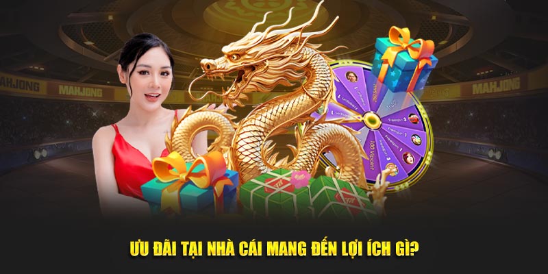 Khuyến Mãi Dafabet – Cơ Hội Tối Ưu Vốn Cược Cho Hội Viên Khuyến Mãi Dafabet – Cơ Hội Tối Ưu Vốn Cược Cho Hội Viên